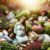 Herbs for Pregnant Women: Safe and Beneficial Options