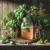 How to Ferment Herbs for Potency: Unlocking Natural Power