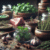 How to Pair Herbs with Spices: A Culinary Guide