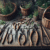 Best Starter Kits for Herbalism: A Beginner’s Guide