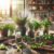 How to Dry Herbs for Remedies: A Step-by-Step Guide