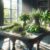 Simple Steps to Dry Herbs: UK Guide