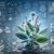 How to Report Herbal Reactions: UK Guide