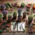Best Herbs With Proven Efficacy: UK’s Top Choices